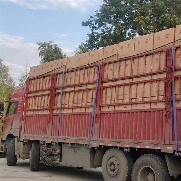 發(fā)貨實(shí)拍